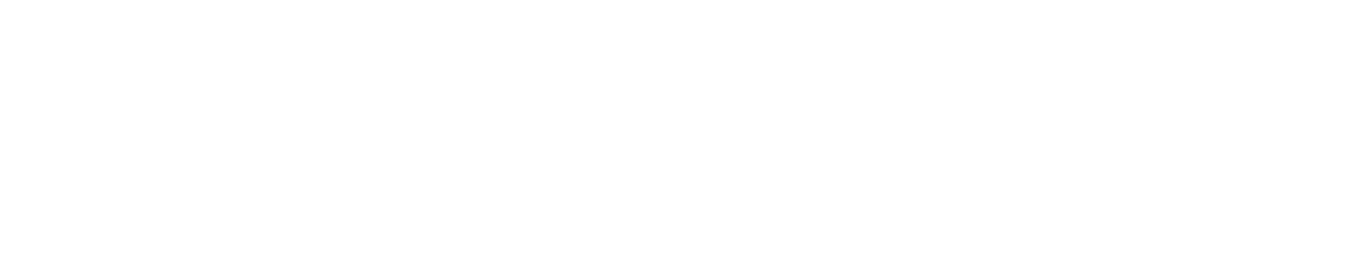 Village Indiya Logo